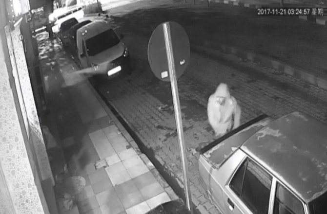 HIRSIZI PATATES ATARAK KOVALADI