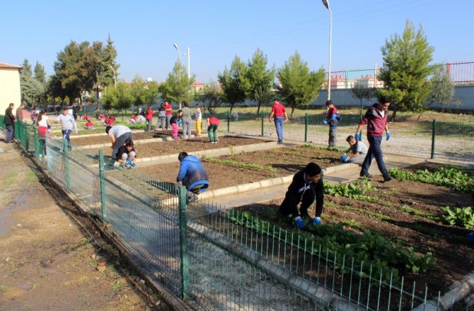 ZİL ÇALINCA OYUNA DEĞİL EKİP BİÇMEYE KOŞUYORLAR