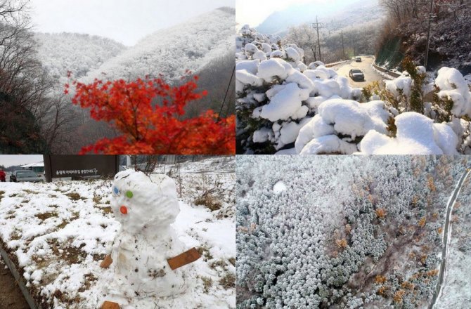 GÜNEY KORE KIŞ OLİMPİYATLARI’NA HAZIR