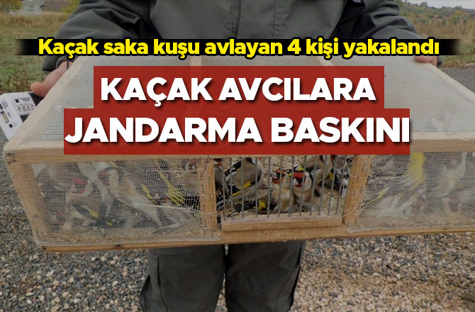 KAÇAK AVCILARA JANDARMA BASKINI