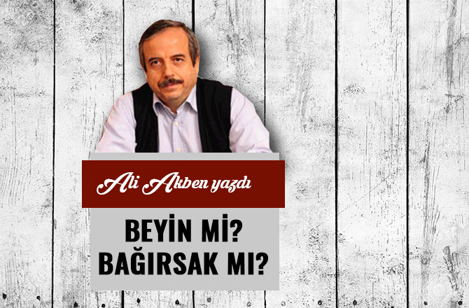 BEYİN Mİ? BAĞIRSAK MI?