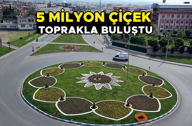 5 MİLYON ÇİÇEK TOPRAKLA BULUŞTU