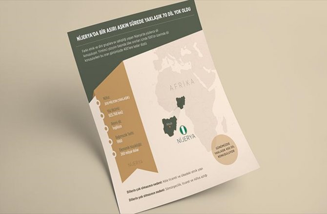 NİJERYA'DA BİR ASIRI AŞKIN SÜREDE YAKLAŞIK 70 DİL YOK OLDU