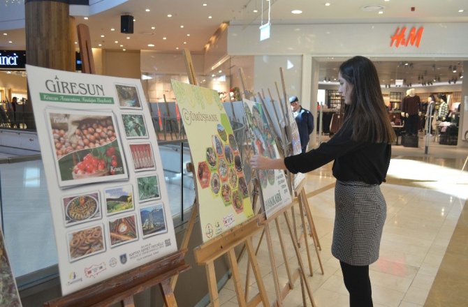 81 İLİN KÜLTÜREL ZENGİNLİĞİ KAHRAMANMARAŞ’TA SERGİLENDİ