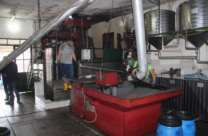 BİNLERCE YILLIK TAŞ BASKI ZEYTİNYAĞI GELENEĞİ