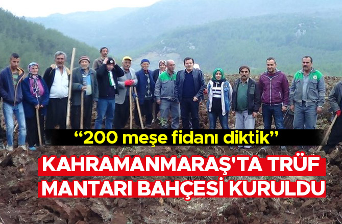 KAHRAMANMARAŞ'TA TRÜF MANTARI BAHÇESİ KURULDU