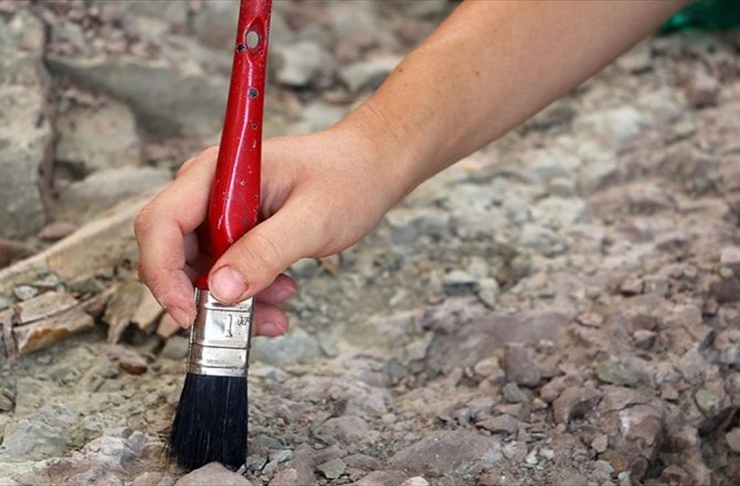 DÜNYANIN EN ESKİ YOSUN FOSİLİ 1 MİLYAR YAŞINDA