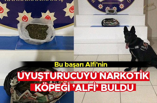 UYUŞTURUCUYU NARKOTİK KÖPEĞİ ’ALFİ’ BULDU