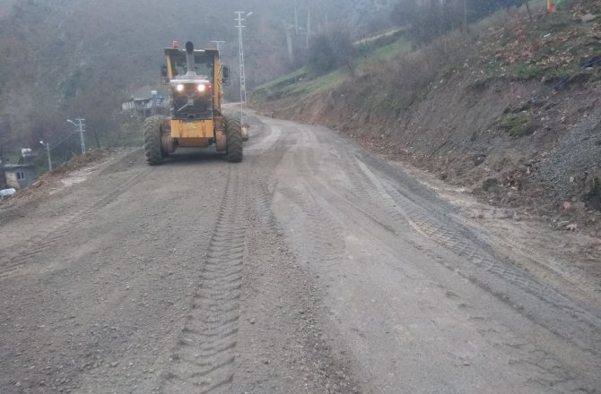 SADIKLI-KALEKAYA YOLUNDA FİLLER SERİMİ