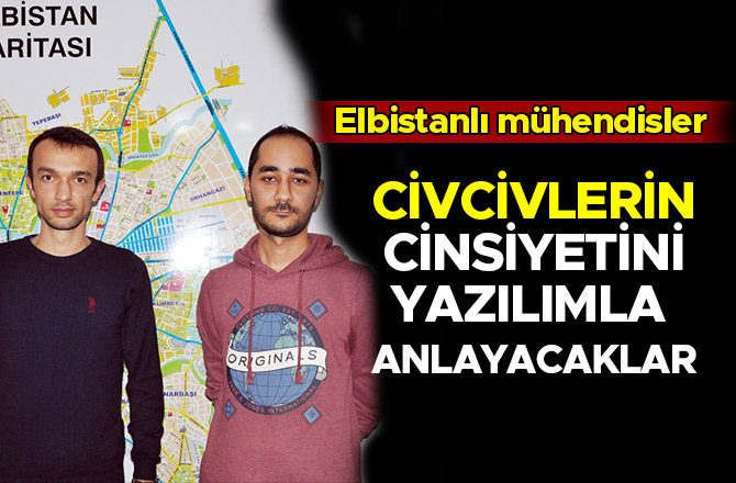 ELBİSTANLI MÜHENDİSLER CİVCİVLERİN CİNSİYETİNİ YAZILIMLA ANLAYACAKLAR