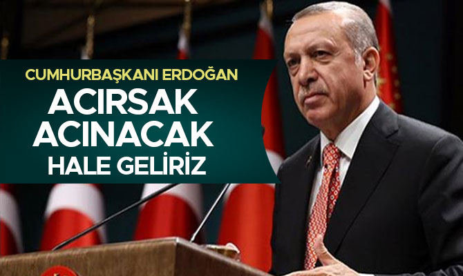 CUMHURBAŞKANI ERDOĞAN: ACIRSAK ACINACAK HALE GELİRİZ