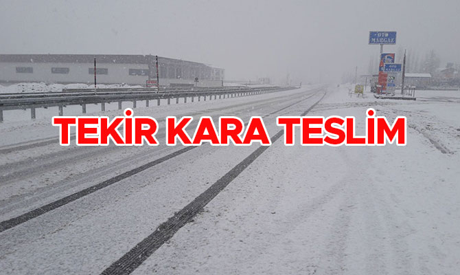 TEKİR KARA TESLİM