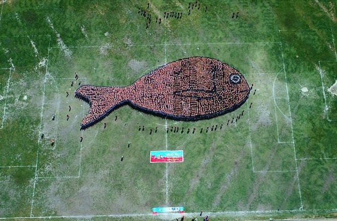 2 BİN 791 ÖĞRENCİNİN OLUŞTURDUĞU 'ÇİPURA FİGÜRÜ' REKORLAR KİTABINDA