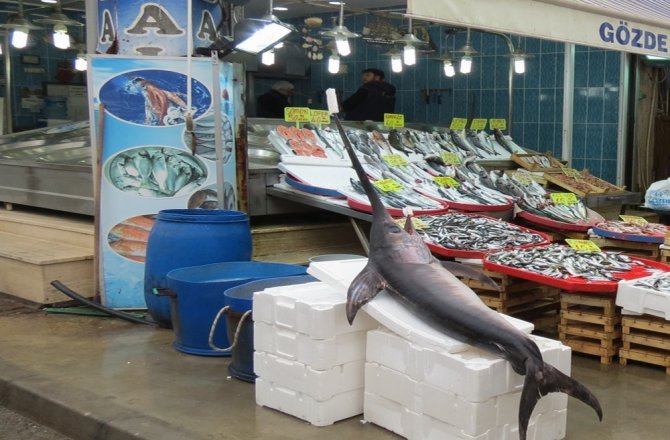 DEV KILIÇ BALIĞI ŞAŞIRTTI