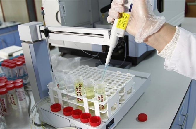 KAS HÜCRESİ OLMAYAN HÜCRELERDEN KAS YAPILDI