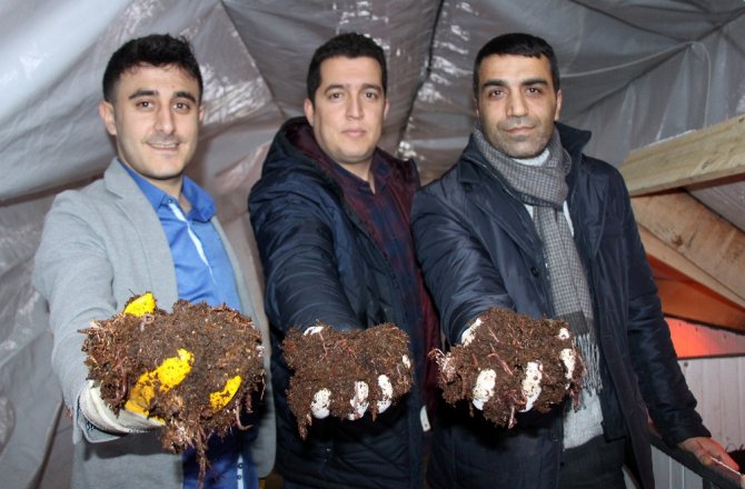 İNTERNETTE GÖRÜP BAŞLADILAR, AYDA 15 BİN LİRA KAZANIYORLAR