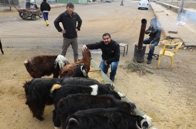 TWİTTERDA 1 MİLYON TAKİPÇİYE ULAŞTI, KURBAN KESTİ