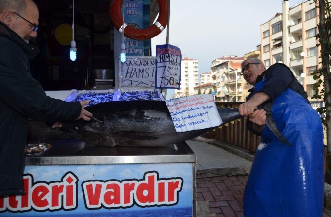 Tezgaha sığmayan dev orkinos ilgi odağı oldu