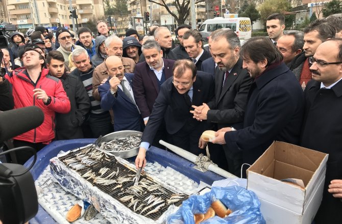 Bursalılar hamsiye doydu
