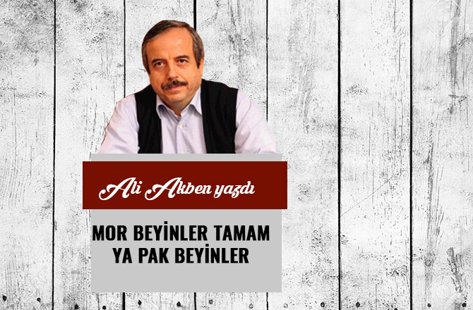 MOR BEYİNLER TAMAM YA PAK BEYİNLER