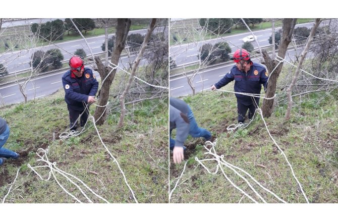 Uçurumda mahsur kalan keçi kurtarıldı