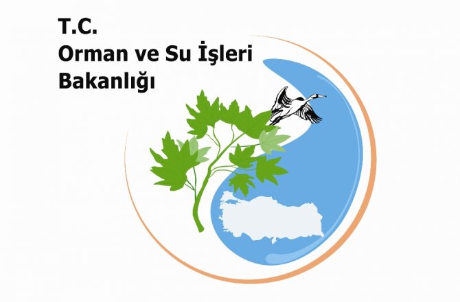 Atıl durumdaki ormanlar köylüye gelir kapısı oluyor