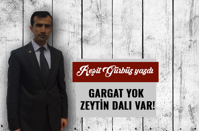 GARGAT YOK ZEYTİN DALI VAR!