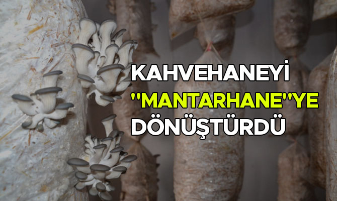 KAHVEHANEYİ "MANTARHANE"YE DÖNÜŞTÜRDÜ