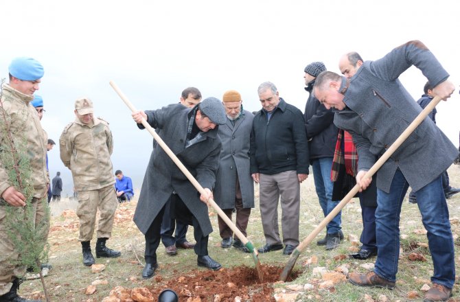 "ŞEHİTLER HATIRA ORMANINA" 350 FİDAN DİKTİLER