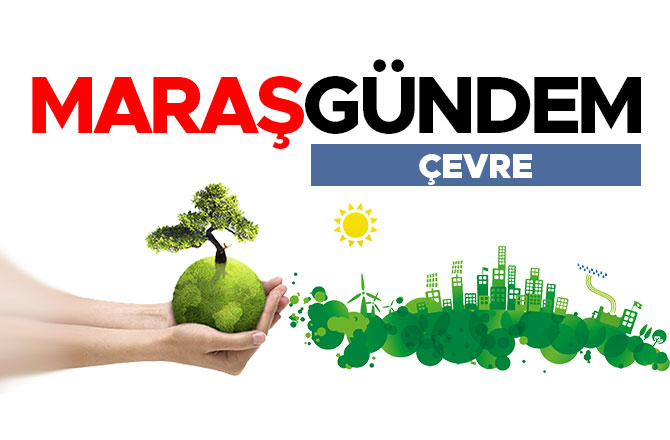 DEAŞ SALDIRISIYLA SAKAT KALAN KARDEŞLER TÜRKİYE'DE HAYATA TUTUNDU