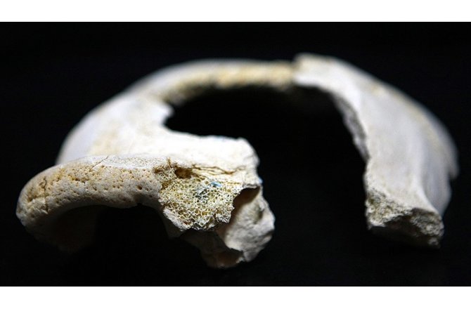 Afrika dışında bilinen en eski modern insan fosili keşfedildi