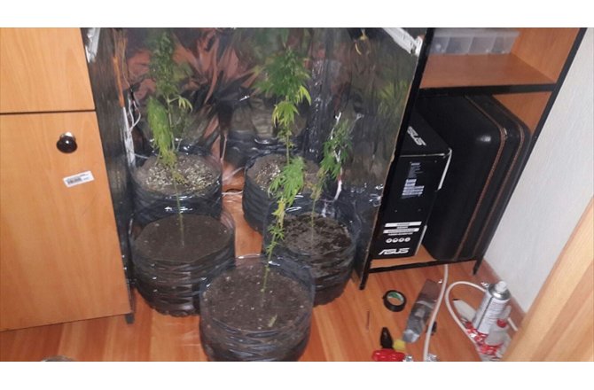 FETÖ sanığı astsubay evinde uyuşturucu yetiştirmiş