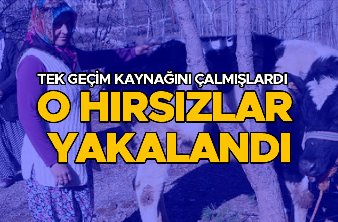 TEK GEÇİM KAYNAĞINI ÇALMIŞLARDI O HIRSIZLAR YAKALANDI