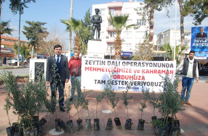 HAREKATA 10 BİN ZEYTİN FİDANIYLA DESTEK