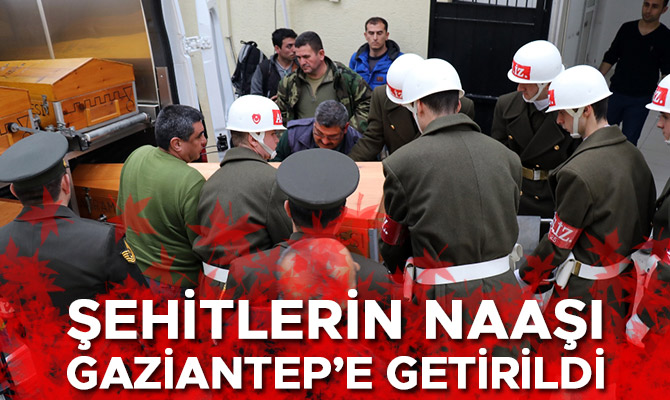 ŞEHİTLERİN NAAŞI GAZİANTEP’E GETİRİLDİ