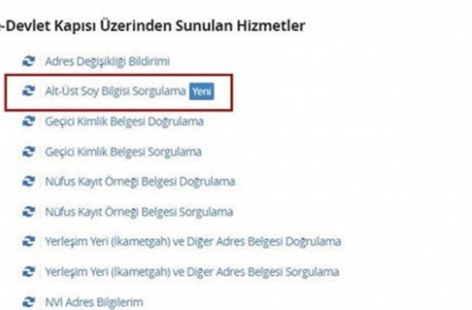 SOYAĞACI SORGULAMA YENİDEN AKTİF EDİLDİ
