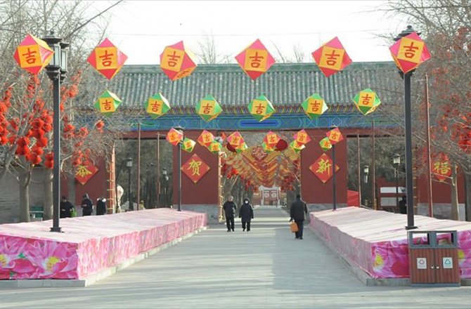 ÇİN KÖPEK YILI'NA GİRİYOR