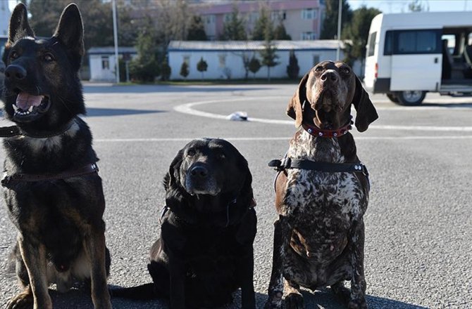 TERÖR VE UYUŞTURUCUYLA MÜCADELENİN 'KESKİN BURUNLARI'