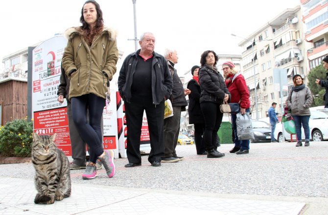 4 YILDIR SÜT ALMAK İÇİN SIRAYA GİRİYOR