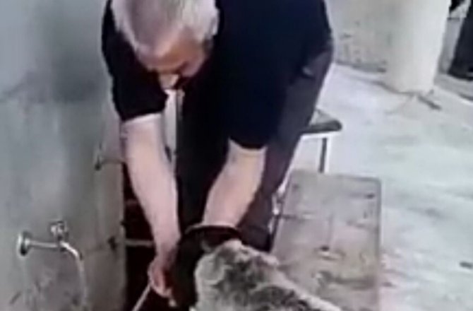 ABDEST ALIRKEN ELLERİYLE KÖPEĞE SU İÇİRDİ