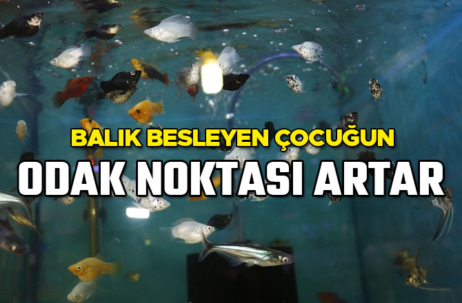 BALIK BESLEYEN ÇOCUĞUN ODAK NOKTASI ARTAR