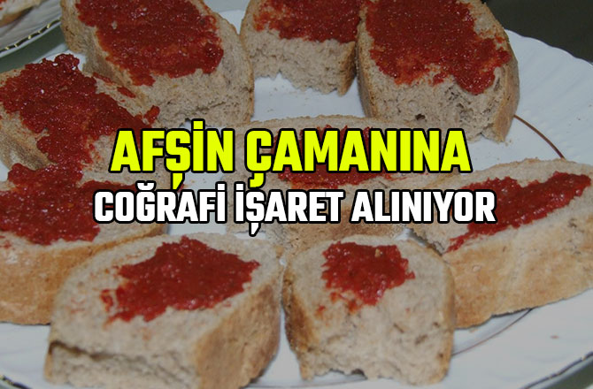 AFŞİN ÇAMANINA COĞRAFİ İŞARET ALINIYOR
