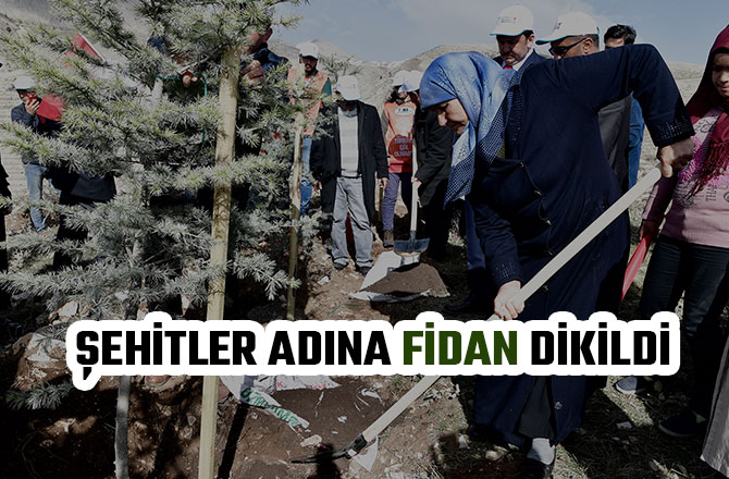 ŞEHİTLER ADINA FİDAN DİKİLDİ