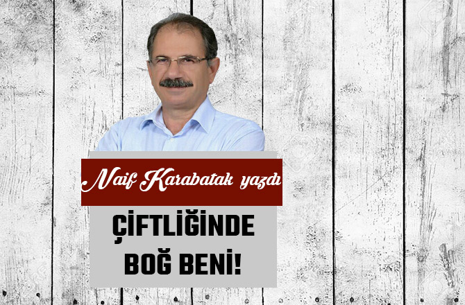 ÇİFTLİĞİNDE BOĞ BENİ!