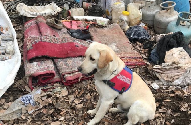 BİTLİS’TE TERÖR ÖRGÜTÜNE AİT 3 SIĞINAK İMHA EDİLDİ