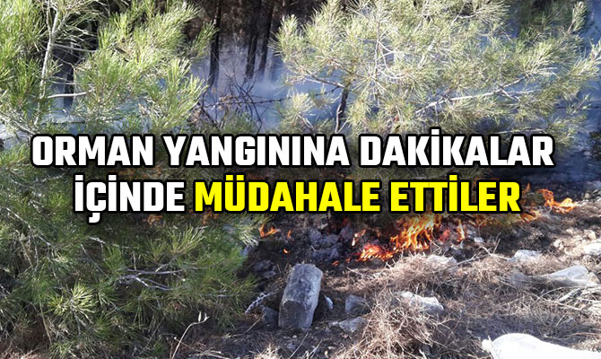 ORMAN YANGININA DAKİKALAR İÇİNDE MÜDAHALE ETTİLER