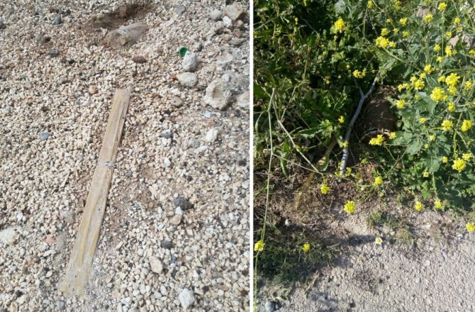 TSK AFRİN’İ PATLAYICILARDAN TEMİZLEMEYE DEVAM EDİYOR