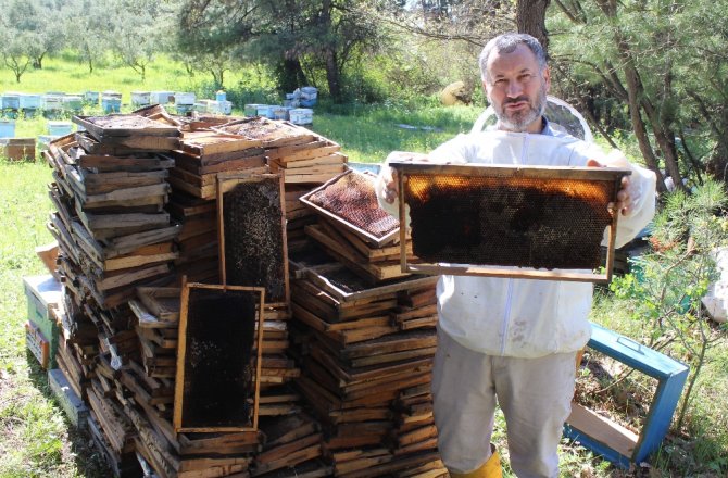 ARI ÖLÜMLERİ ARTARAK DEVAM EDİYOR