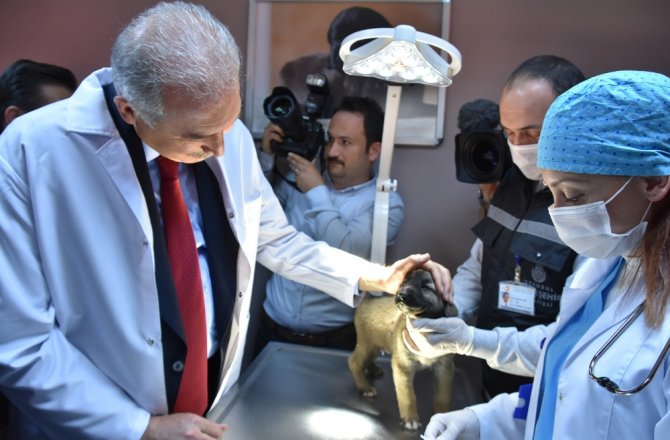 DÜNYANIN EN BÜYÜK İKİNCİ HAYVAN BAKIMEVİ