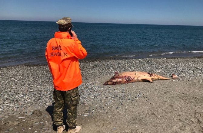 VATANDAŞLAR GÖRDÜ: SAHİL GÜVENLİK MÜDAHALE ETTİ